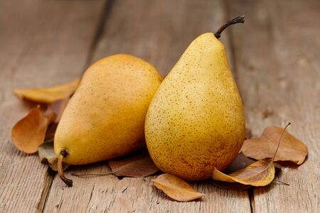 Yellow pears with autumn leaves on wooden table, close up viewの写真素材