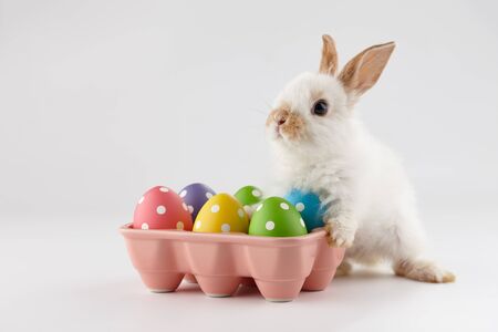 Easter bunny rabbit with colorful eggs on light gray background, copy spaceの写真素材