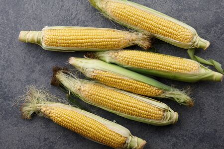 Fresh sweet corn cobs on gray stone background, top viewの写真素材