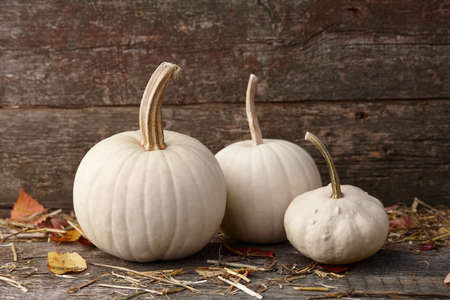 White pumpkins on old planks background, autumn seasonalの写真素材