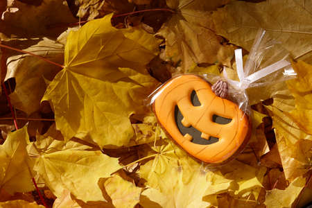Wrapped Halloween gingerbread pumpkin gift on leaves backgroundの写真素材