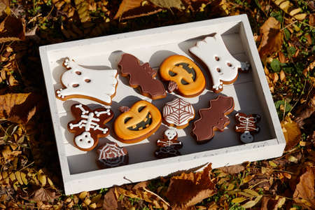 Halloween gingerbread biscuits in wooden tray on autumn leaves backgroundの写真素材