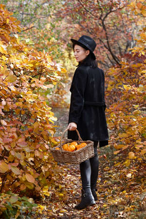 Woman in black with Halloween pumpkins in autumn forest, witch characterの写真素材