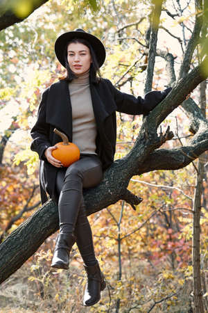 Woman in black on a tree with Halloween pumpkin in autumn forest, witch characterの写真素材