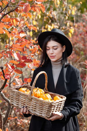 Woman in black with Halloween pumpkins in autumn forest, witch characterの写真素材
