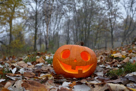 Halloween pumpkin burning in forest in foggy evening, holiday conceptの写真素材