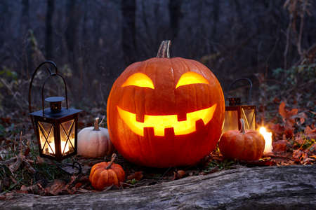 Halloween pumpkin burning in forest at night, holiday conceptの写真素材