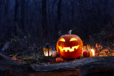 Halloween pumpkin burning in forest at night, holiday conceptの写真素材