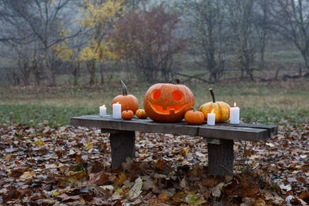 Halloween pumpkin burning in forest in foggy evening, holiday conceptの写真素材