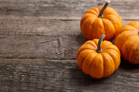 Beautiful mini pumpkins on wooden planks, copy spaceの写真素材
