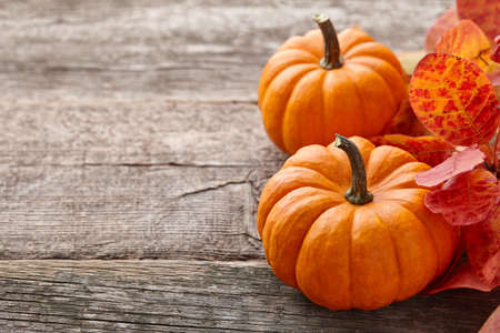 Beautiful mini pumpkin and autumn leaves on wooden planks background, copy spaceの写真素材