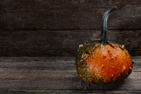 Warty Halloween pumpkin in old barn on wooden background, holiday decorationの写真素材