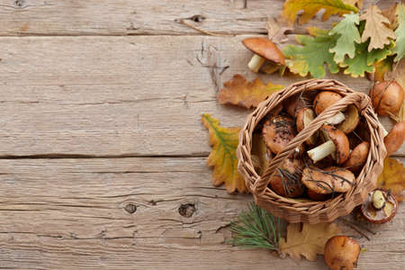 Mushrooms basket and autumn leaves on wooden background, copy spaceの写真素材