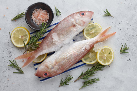 Raw red mullet fish with lemons and herbs on white stone background, copy spaceの写真素材