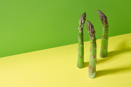 Fresh green asparagus on yellow and green background, copy spaceの写真素材