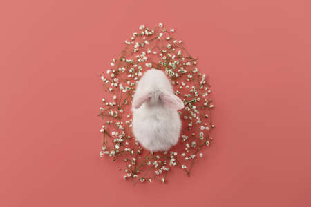 Egg shaped spring flowers and white bunny rabbit on pink background. Easter concept.の写真素材