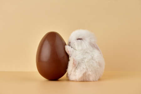 Easter bunny rabbit with chocolate egg on beige backgroundの写真素材