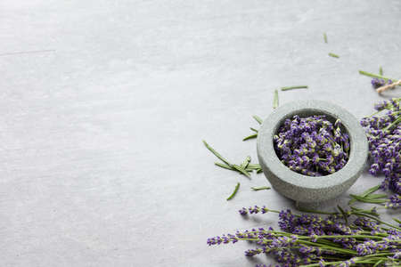 Lavender blossoms bowl on gray concrete backgroundの写真素材