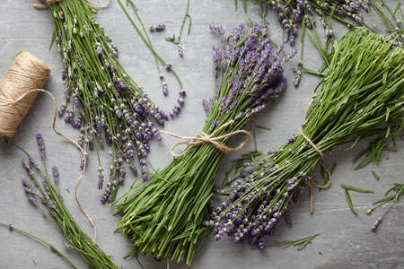 Fresh lavender flowers on gray concrete backgroundの写真素材