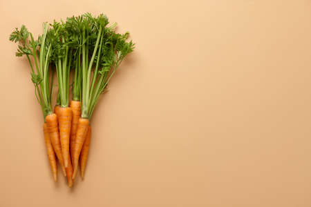 Bunch of fresh carrots on beige background, copy space