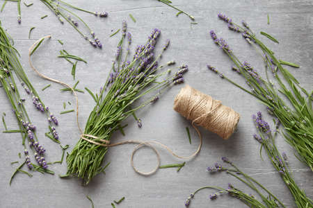 Fresh lavender flowers on gray concrete background, top viewの写真素材