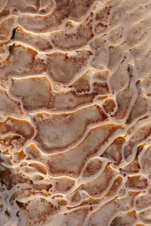 Natural travertine stone close up, abstract backgroundの写真素材