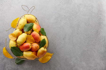 Pears in pear shape metal fruit basket on gray background, copy spaceの写真素材
