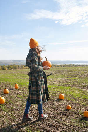 Woman walking in Halloween pumpkin patch in sunny dayの写真素材