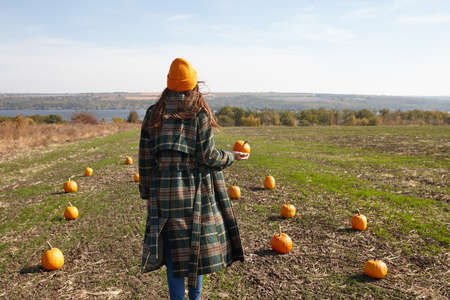 Woman walking in Halloween pumpkin patch in sunny dayの写真素材