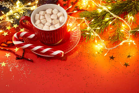 Christmas hot chocolate with marshmallow and candy caneの写真素材