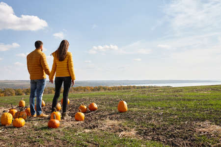 Young couple enjoying sunset in pumpkin patch fieldの写真素材