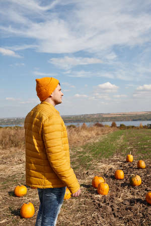 Man in Halloween pumpkin patch field in sunny dayの写真素材