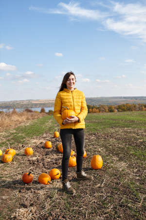 Woman in Halloween pumpkin patch field in sunny dayの写真素材