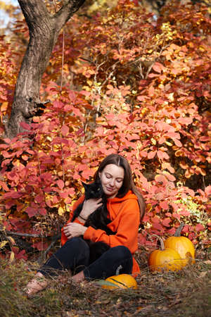 Woman with black cat and orange pumpkins in park. Autumn seasonal.の写真素材