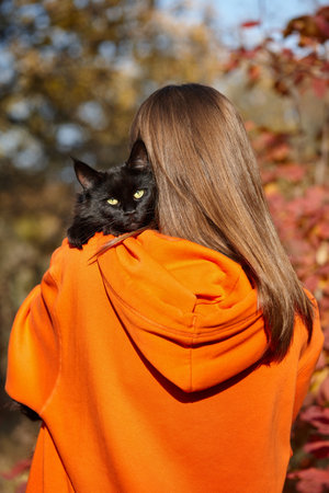Black cat resting on shoulder of young woman, autumn seasonalの写真素材