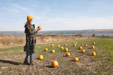 Woman walking in Halloween pumpkin patch in sunny fall dayの写真素材