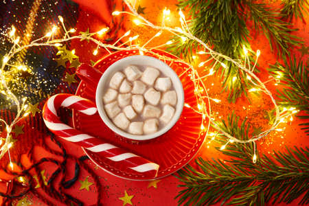 Christmas hot chocolate with marshmallow and candy cane. Holiday concept.の写真素材