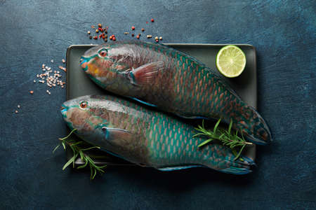 Fresh raw parrot fish cooking on blue stone background. Exotic food.の写真素材