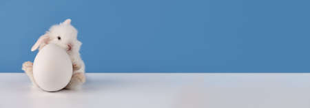 Easter bunny rabbit with big egg sitting on white and blue background, copy spaceの写真素材