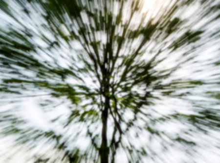 The Silhouette of Zooming Tree in Motion Blur.の写真素材