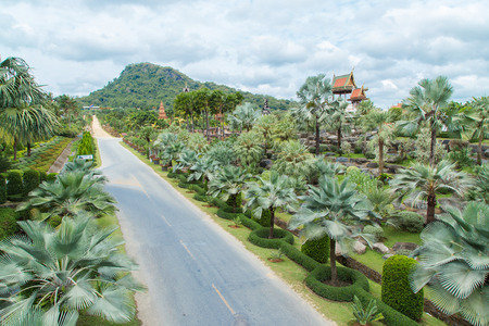 Nong Nooch Garden in Pattayaの写真素材