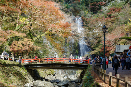 Osaka, Japan - November 27, 2015: Mino waterfall in Mino Quasi-national Park in Osaka, tourists enjoy to take photo with the waterfall in the autumn season.のeditorial素材