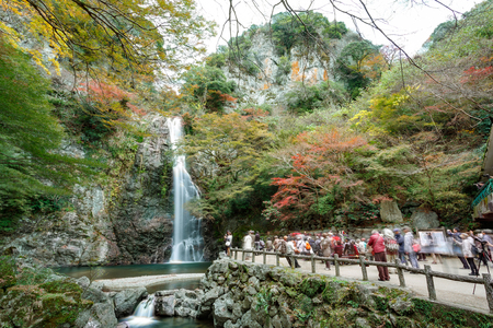 Osaka, Japan - November 27, 2015: Mino waterfall in Mino Quasi-national Park in Osaka, tourists enjoy to take photo with the waterfall in the autumn season.のeditorial素材