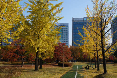 Garden in the City