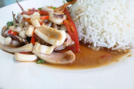 Thai food ,squid fried with  basil and chilli serve with cooked rice.の写真素材