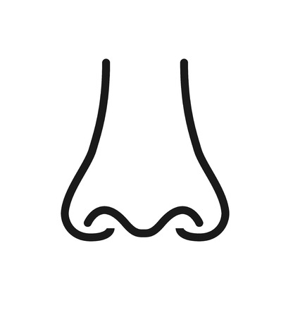 Outline icon  human senses: smell (nose). Vector symbol isolated on background .のイラスト素材