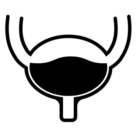 Urology health human icon, anatomy medical body bladder sign, biology vector illustration.のイラスト素材