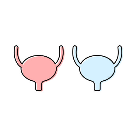 Set of Urology health human icon, anatomy medical body bladder sign, biology vector illustration.のイラスト素材
