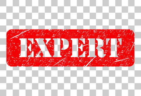 Expert stamp symbol, label sticker sign button, text banner vector illustration.のイラスト素材
