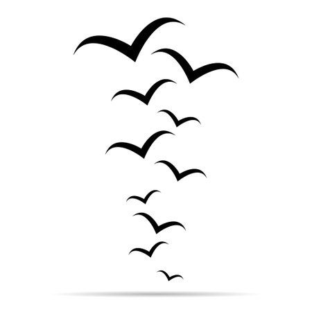 flying bird shadow design, nature freedom flock sign, vector illustration.のイラスト素材